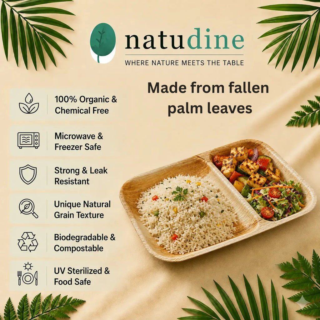 Organic Palm Leaf 2-Compartment Meal Plate- 25 x 15 cm