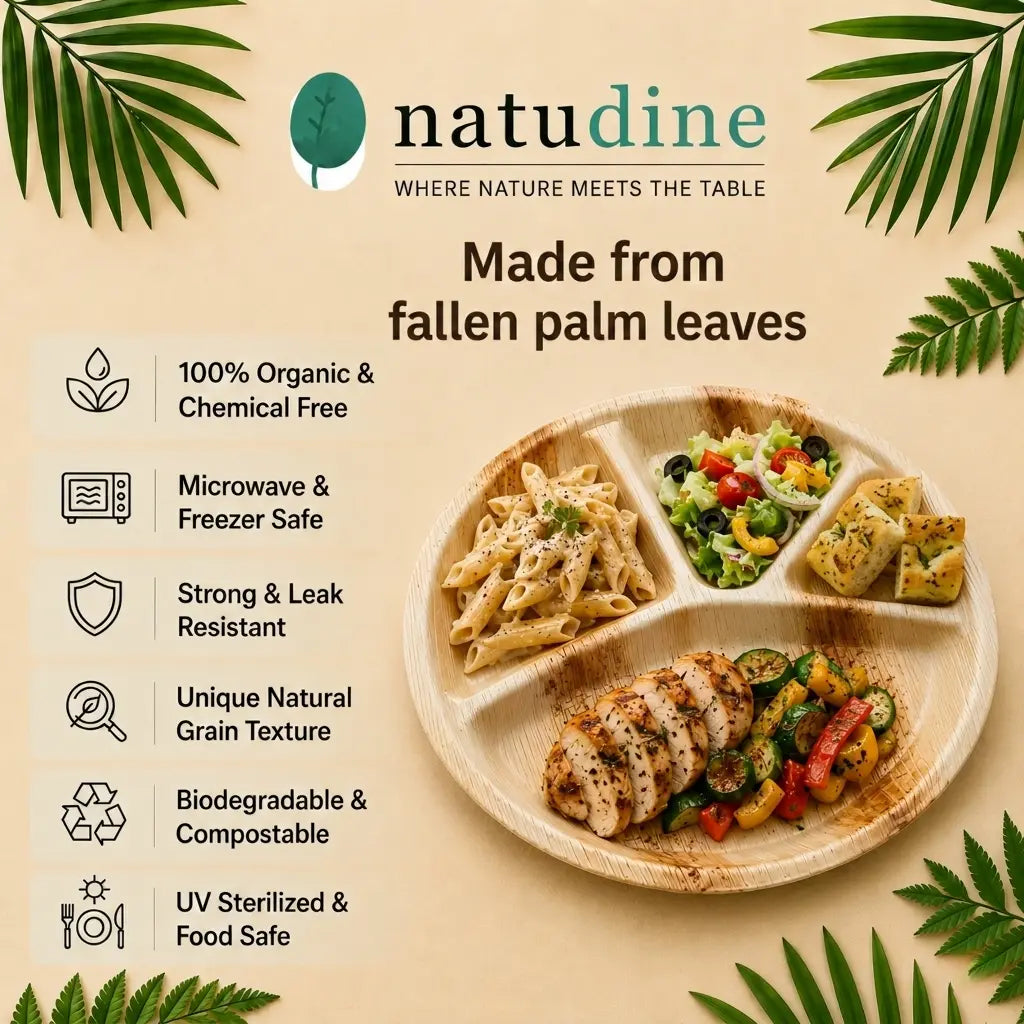 Organic Palm Leaf 4-Compartment Meal Plate - 30 x 3 cm
