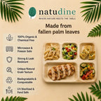 Organic Palm Leaf 5-Compartment Meal Plate – 30 x 25 cm