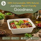 Eco Friendly 750 ml (25 oz) Square Bagasse Bowl –  18 × 18 x 5.4 cm