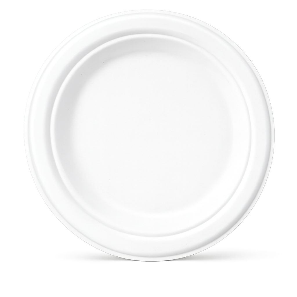 Milieuvriendelijk Bagasse Rond Bord - 25 cm