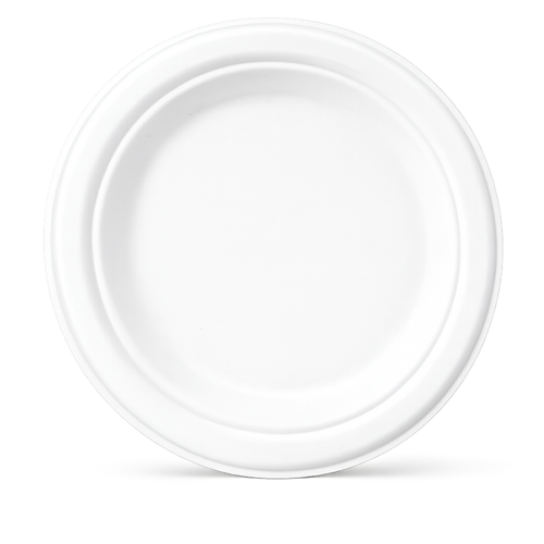 Bagasse Round Plate 25cm