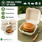 Eco Friendly 1-Compartment Square Bagasse Clamshell Container – 15 × 15 × 7 cm