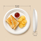 Eco Friendly Bagasse Round Plate - 23 cm